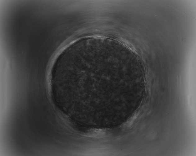 X0000094910295200712061054