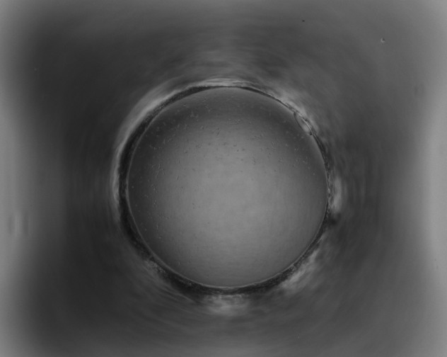 X0000094910296200712061054