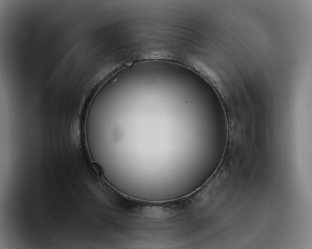 X0000094910298200712061054