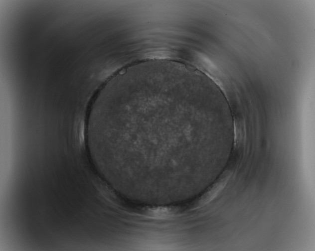 X0000094910301200712061054