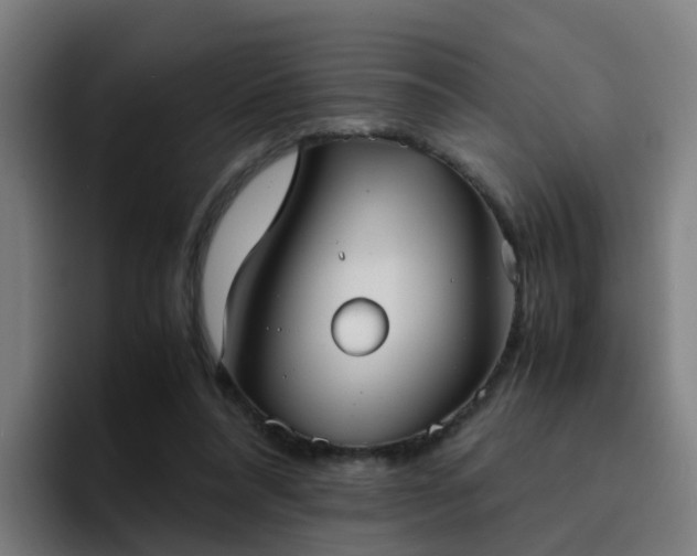 X0000094910304200712061054