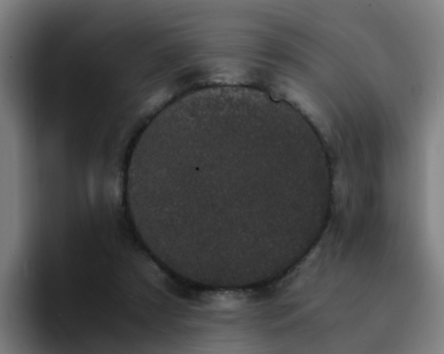 X0000094910305200712061054