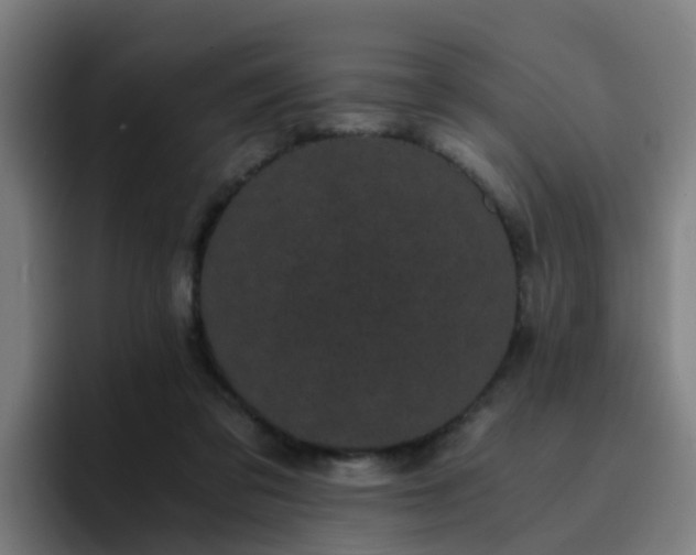 X0000094910309200712061054