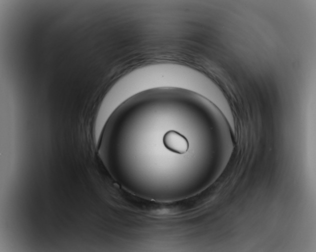X0000094910312200712061054