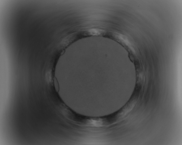 X0000094910317200712061054