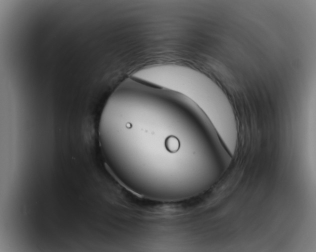 X0000094910320200712061054