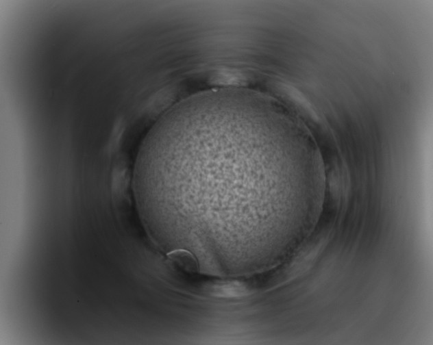 X0000094910322200712061054