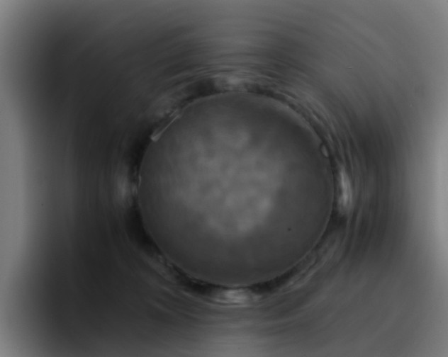 X0000094910324200712061054