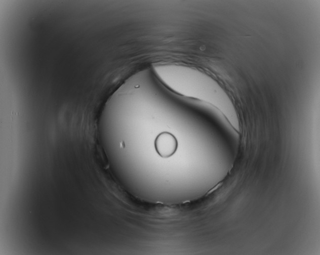 X0000094910325200712061054