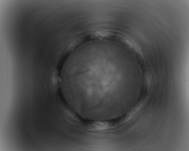 X0000094910328200712061054
