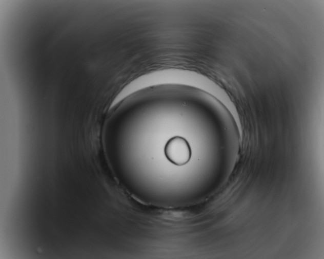 X0000094910332200712061054