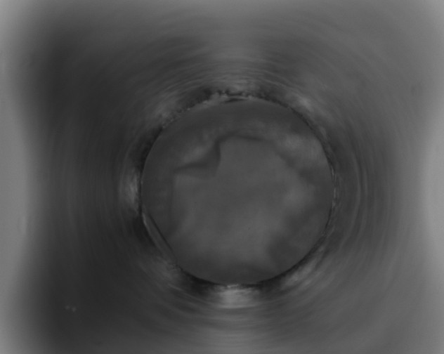 X0000094910336200712061054