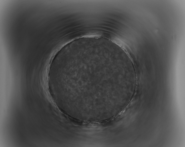 X0000094910337200712061053