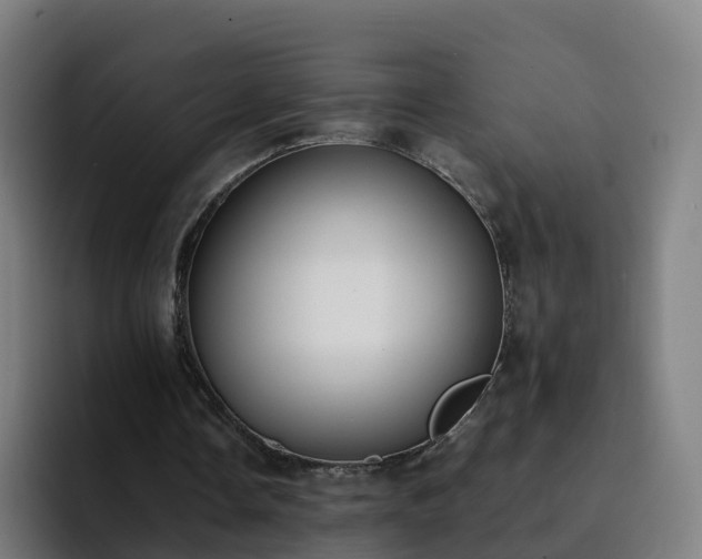 X0000094910338200712061053