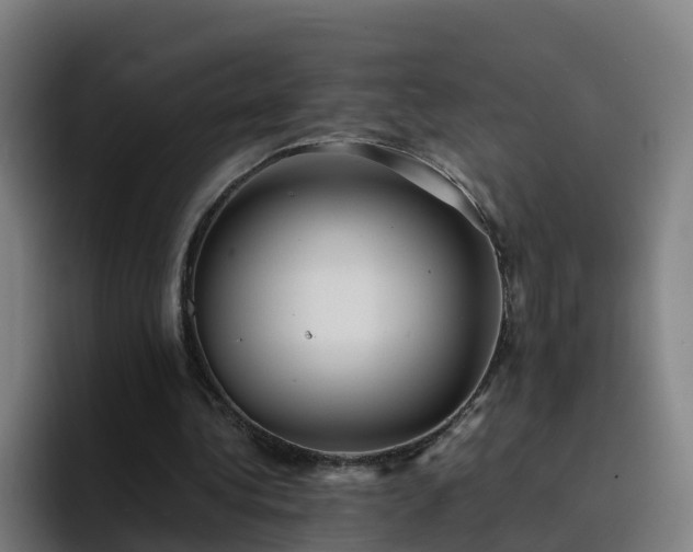 X0000094910340200712061053