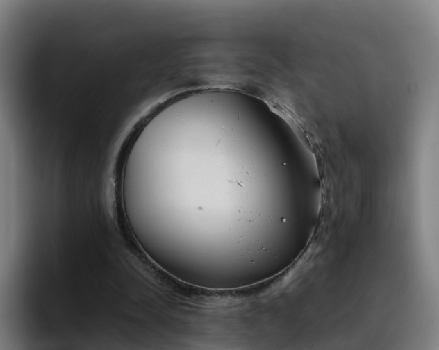 X0000094910342200712061053