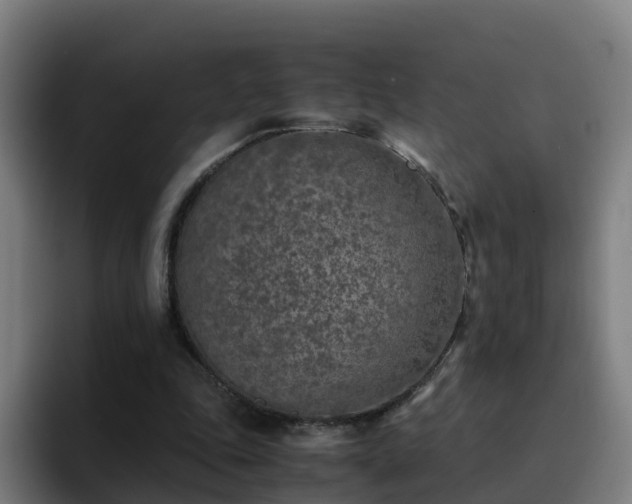 X0000094910343200712061053