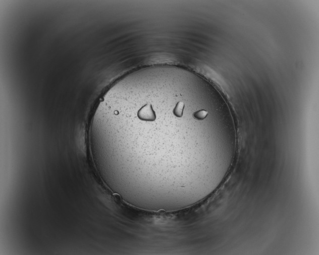 X0000094910345200712061053