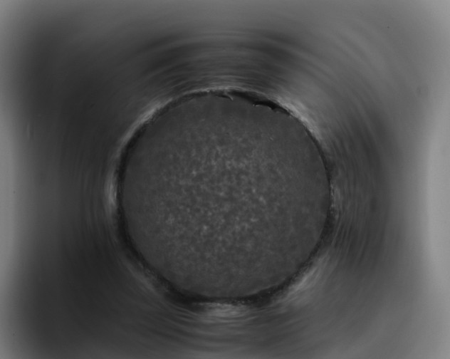 X0000094910347200712061053