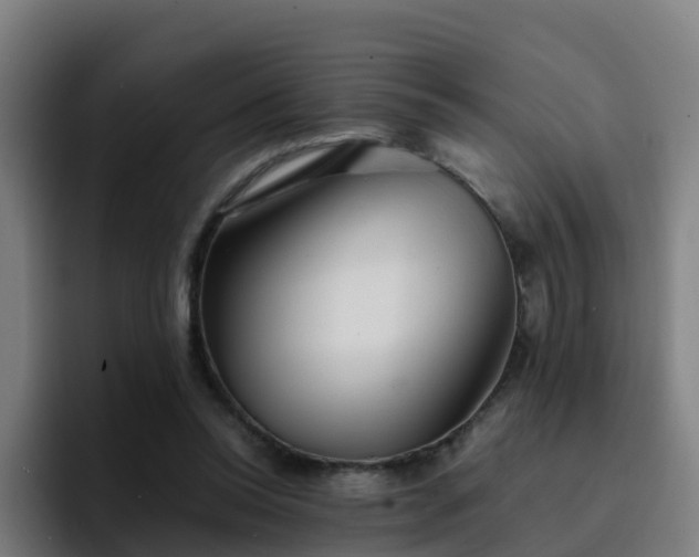 X0000094910350200712061053