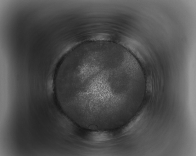 X0000094910351200712061053