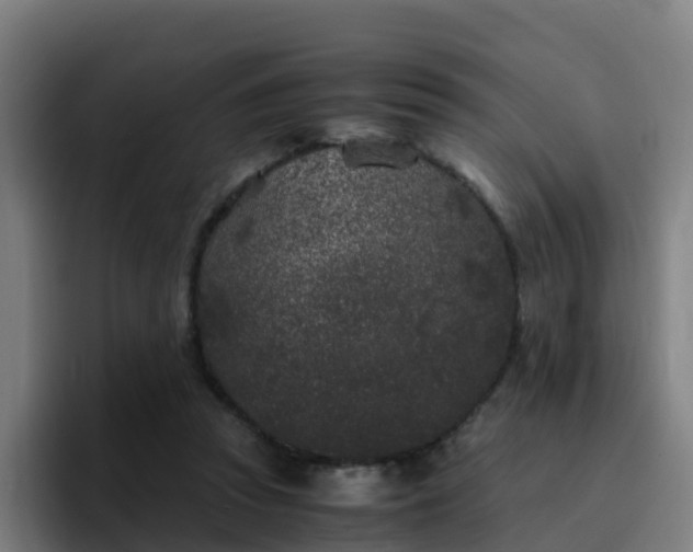 X0000094910353200712061053