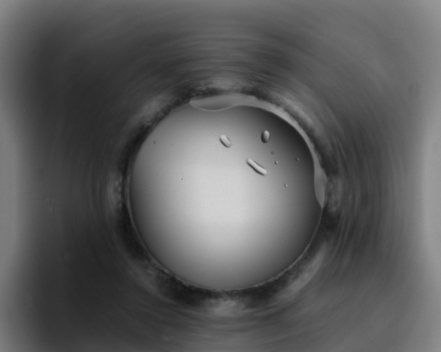 X0000094910356200712061053