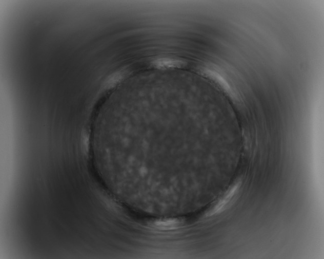 X0000094910357200712061053