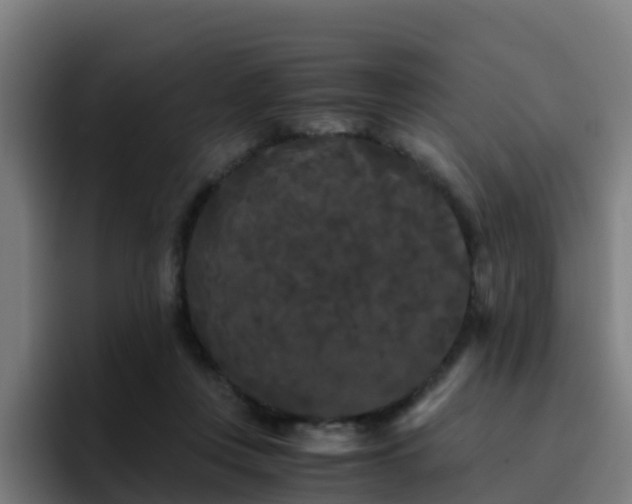 X0000094910359200712061053