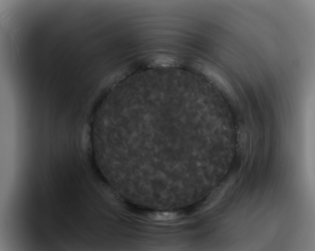 X0000094910361200712061053