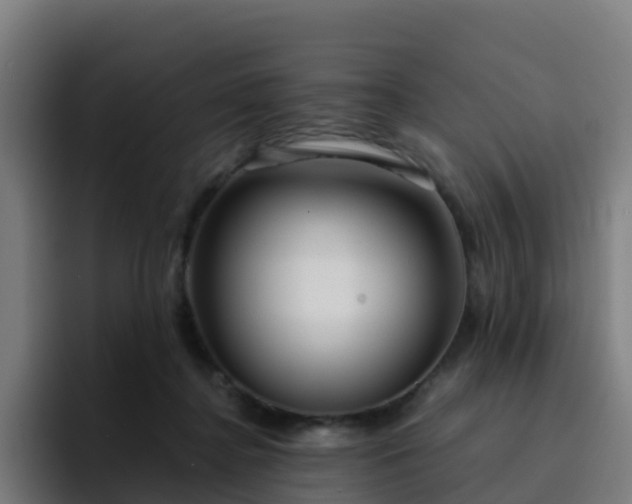 X0000094910364200712061053