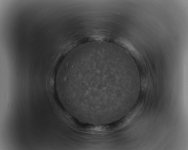 X0000094910365200712061053