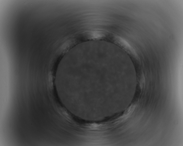 X0000094910366200712061053