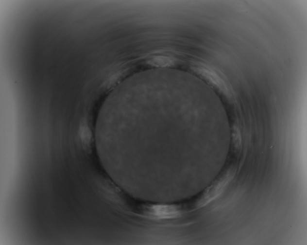X0000094910371200712061053