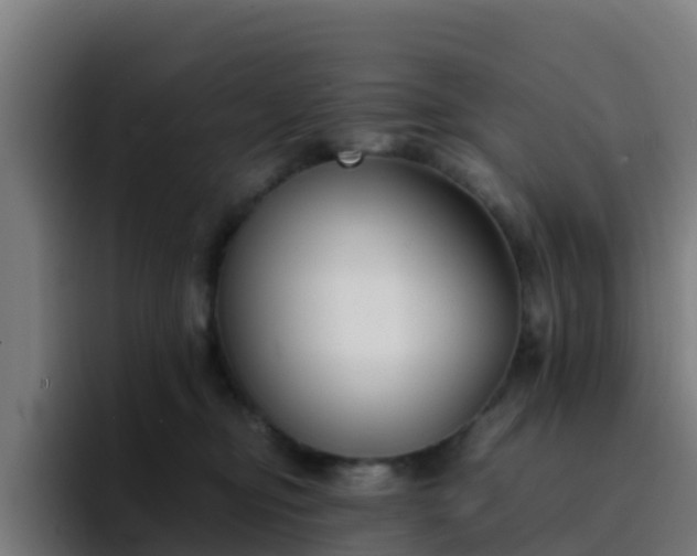 X0000094910374200712061053