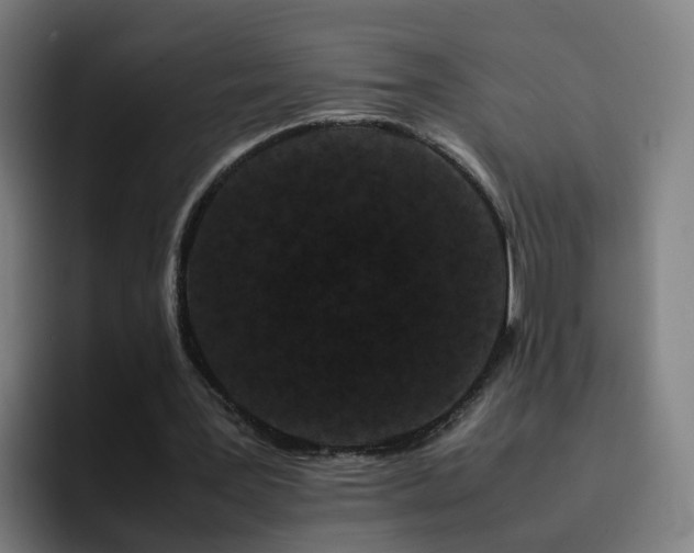 X0000094910387200712061053