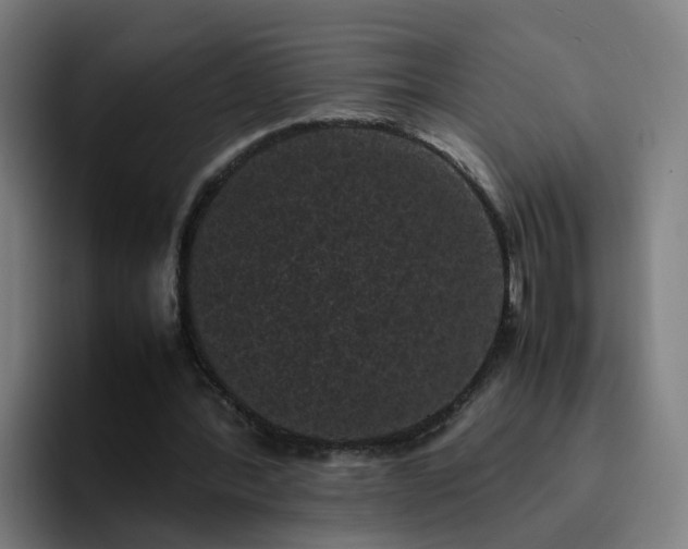 X0000094910388200712061053