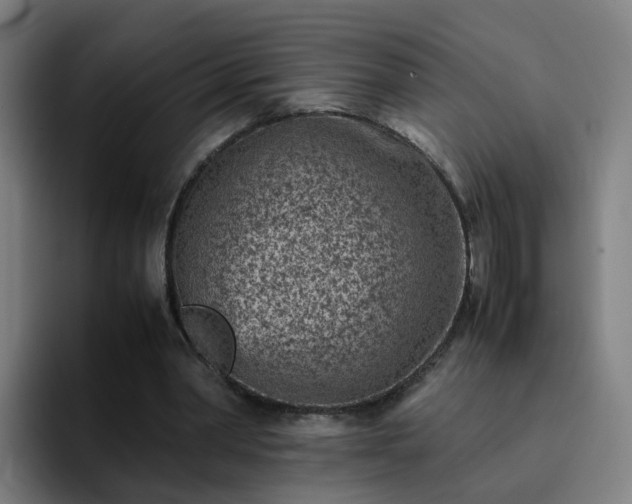 X0000094910390200712061053
