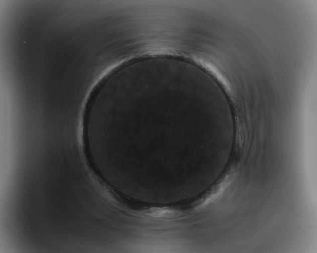 X0000094910391200712061053