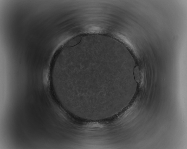 X0000094910392200712061053