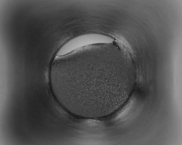 X0000094910393200712061053