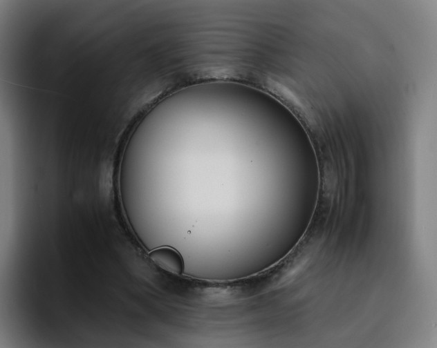 X0000094910394200712061053