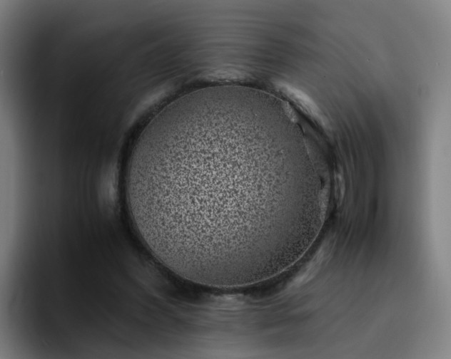 X0000094910396200712061053