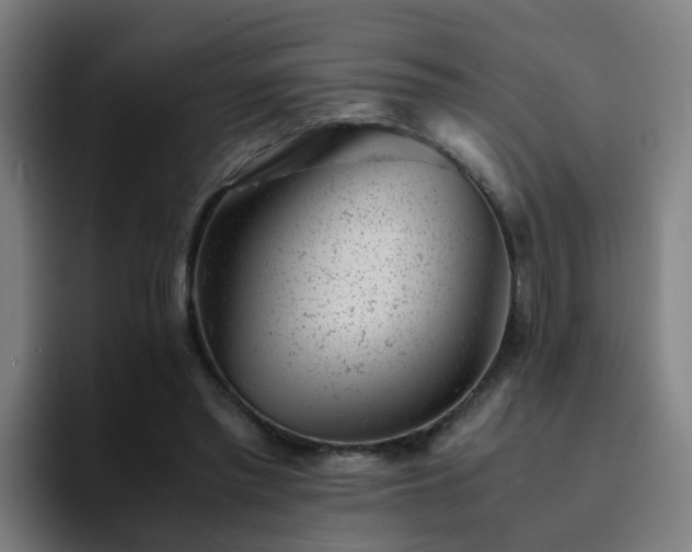 X0000094910397200712061053