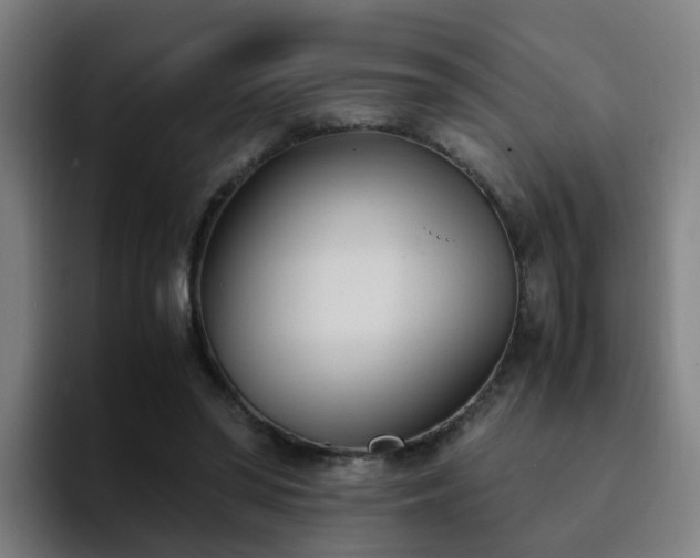 X0000094910398200712061053