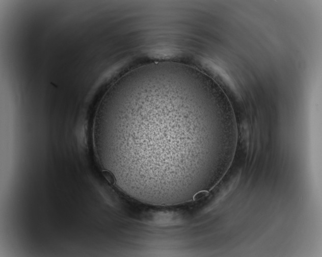 X0000094910400200712061053