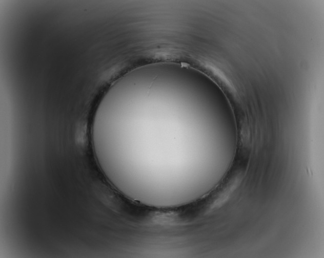 X0000094910403200712061053