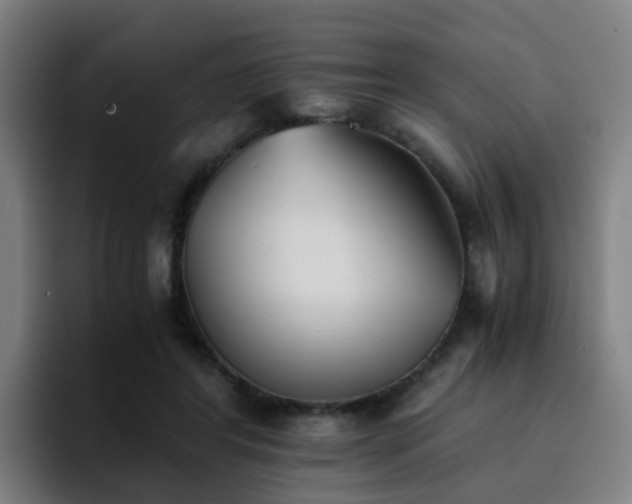 X0000094910404200712061053