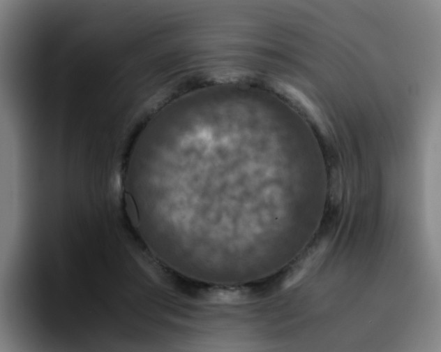X0000094910405200712061053