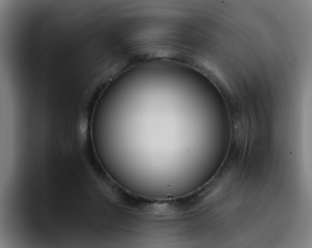 X0000094910406200712061053